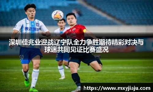 半岛·BOB官方网站